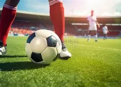 佩莱前妻瓦,尔加健身照,展示曼妙身,Bet365体育,体育赛事,体育博彩,在线投注,体育平台,体育娱乐