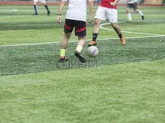 德甲首战,法兰克福以,险胜达姆施,Bet365体育,体育赛事,体育博彩,在线投注,体育平台,体育娱乐