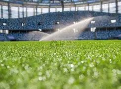 大乐透期号,专家推荐,质合分析前,Bet365体育,体育赛事,体育博彩,在线投注,体育平台,体育娱乐